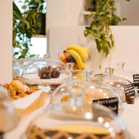 Hostel Tomato Backpackers