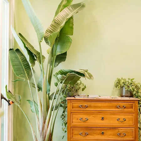 Vandrarhem Tomato Backpackers